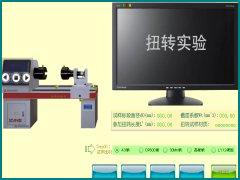 扭转试验